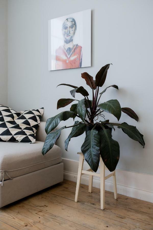 Baixa24 •P2R• Bright Apt In Vibrant Downtown بورتو المظهر الخارجي الصورة